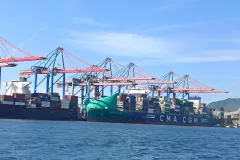 03